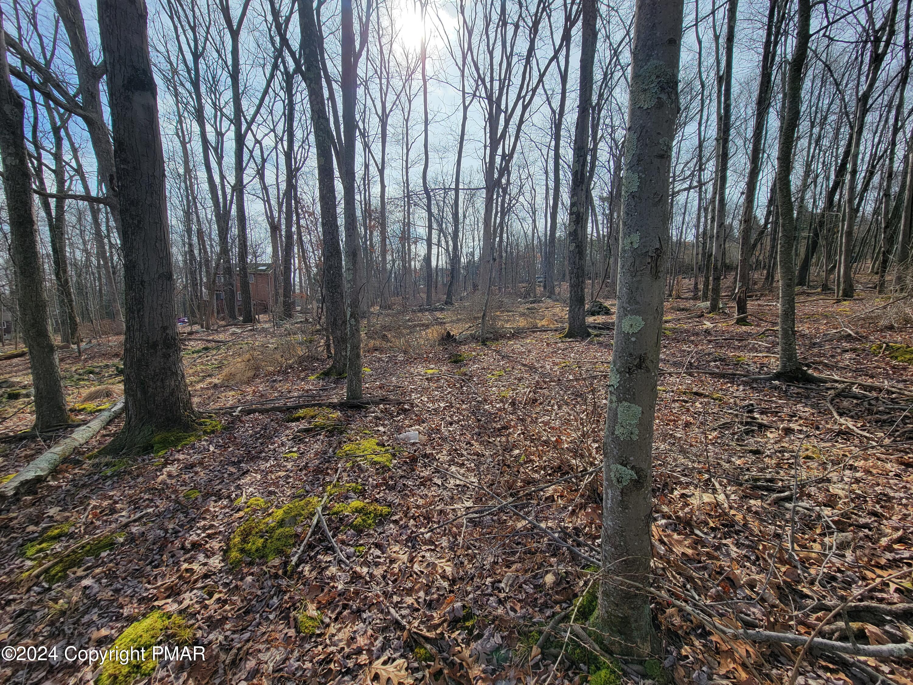 103 Brent Road Bushkill, PA 18324 - Photo 2 of 4 a backyard of a house with lots of green space