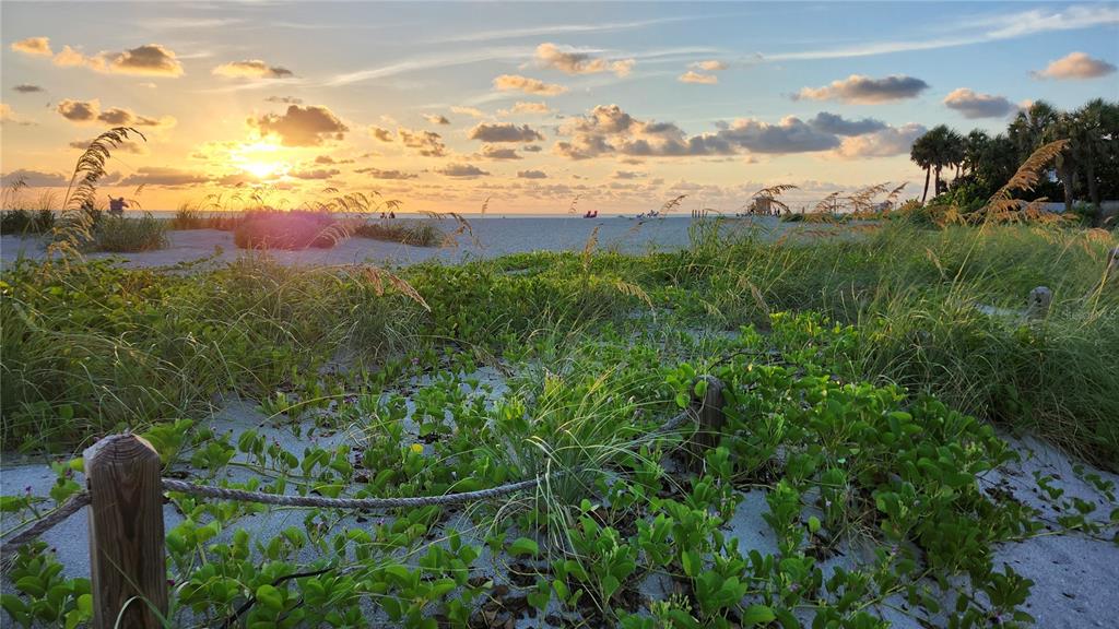 1027 Sunrise Road Venice, FL 34293 - Photo 50 of 53 Gallery Image 50
