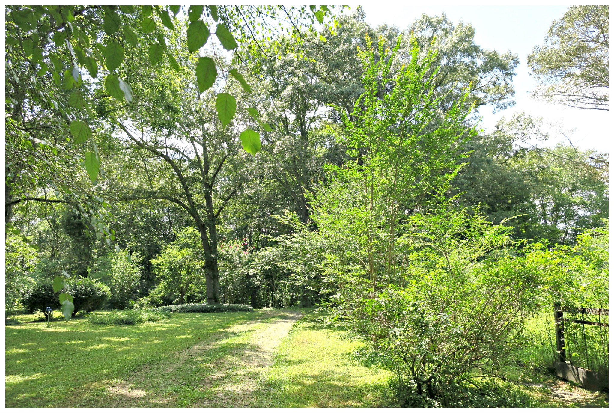 605 Thompson Road Pegram, TN 37143 - Photo 21 of 28 a view of a golf course with a tree