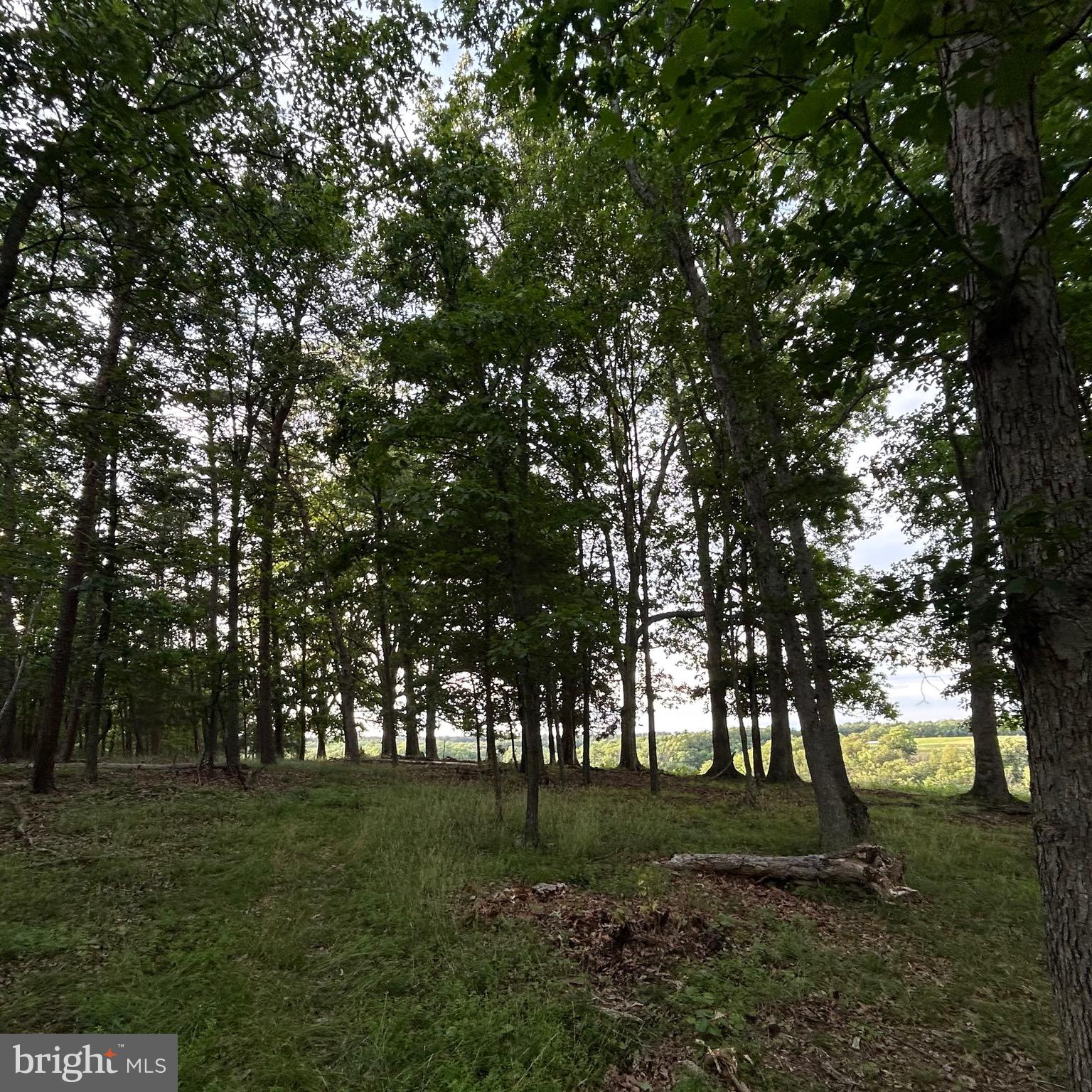 0 Headsville Road Keyser, WV 26726 - Photo 24 of 46