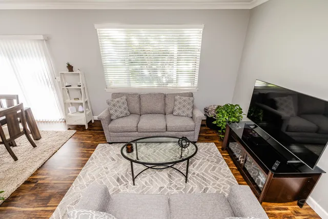 a living room with furniture potted plant and a window