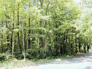 4 Becht Road Coloma, MI 49038 - Photo 1 of 1 Primary Photo