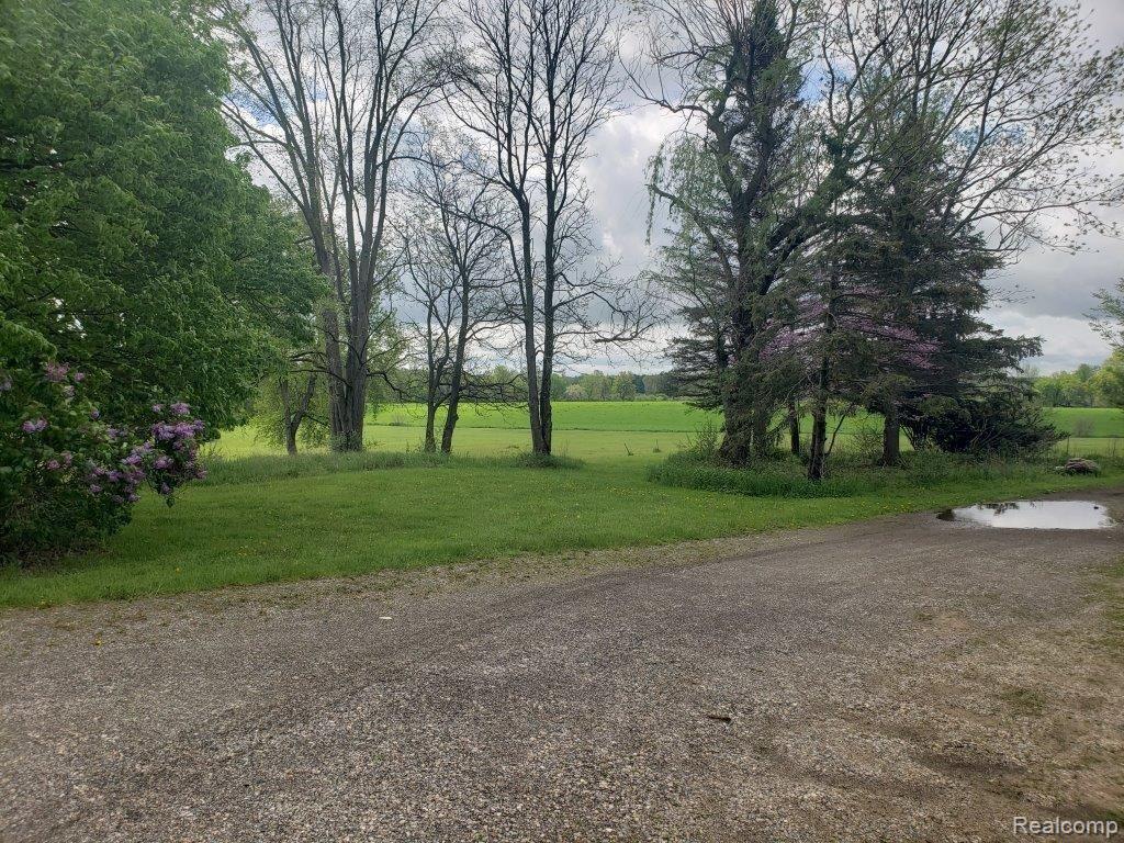 4486 Millis Road North Branch, MI 48461 - Photo 47 of 68 Side Yard - Field