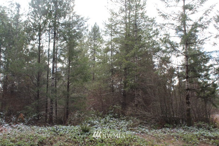 61 West Fish Hatchery Road Elma, WA 98541 - Photo 1 of 2 Gallery Image 1