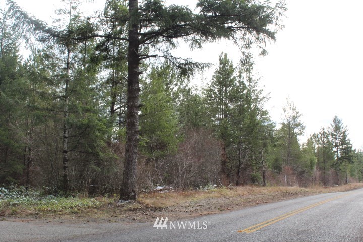 61 West Fish Hatchery Road Elma, WA 98541 - Photo 2 of 2 Gallery Image 2