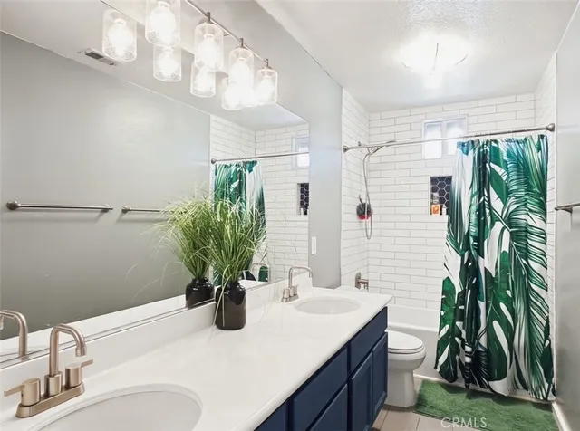 a bathroom with a sink a large mirror and a potted plant