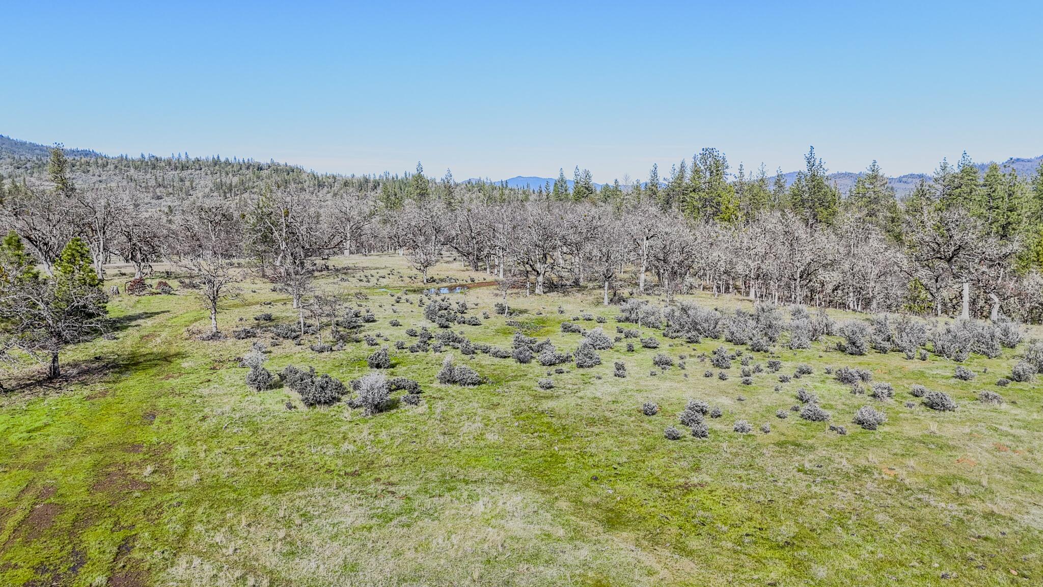 506 Greenleaf Drive Eagle Point, OR 97524 - Photo 23 of 38 DJI_20260227140557_0547_D-HDR-2
