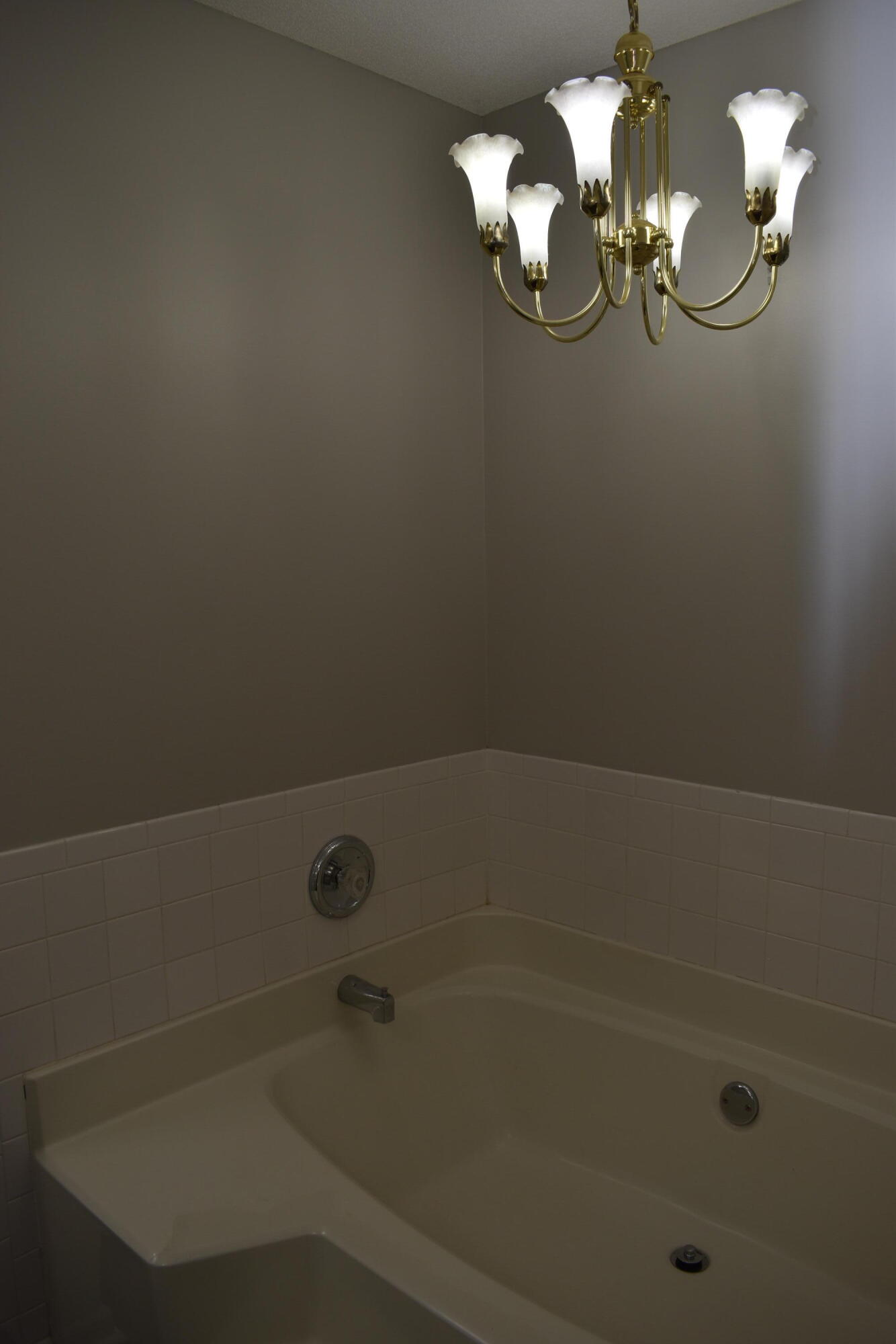 413 Jasper Crossing Augusta, GA 30907 - Photo 12 of 30 DSC_0008