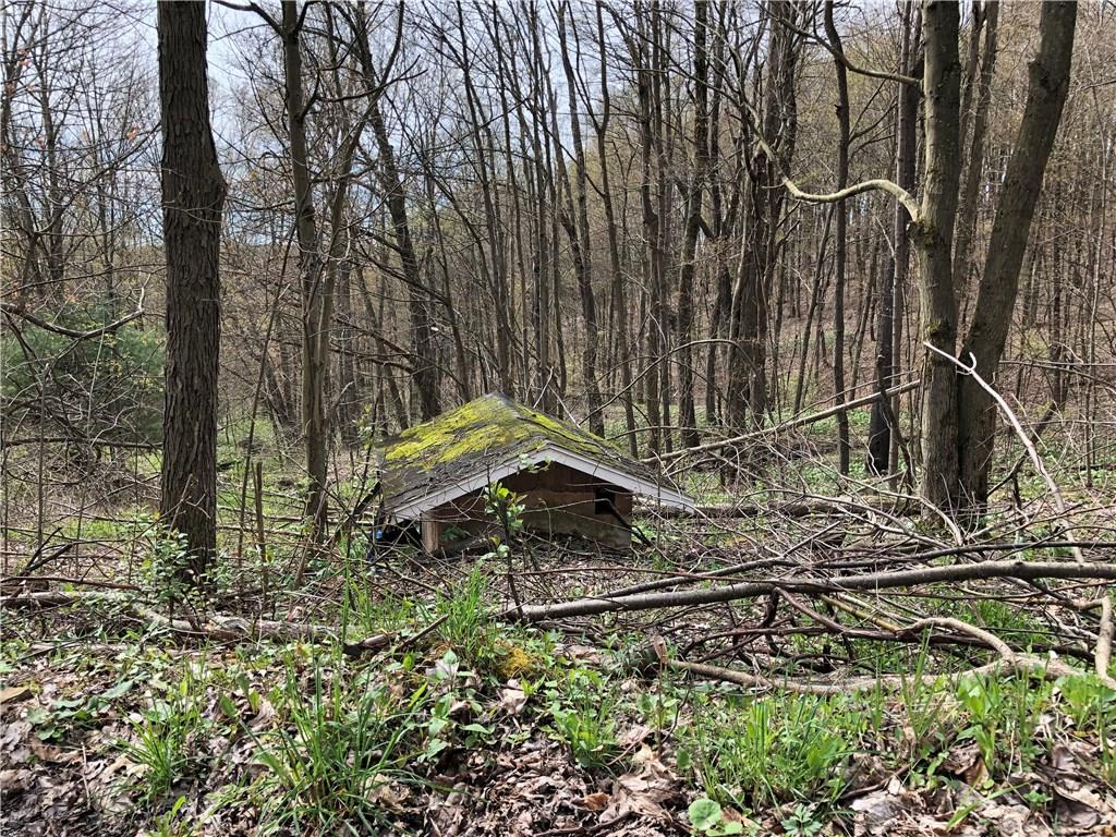 557 Mountain Road Berlin, PA 15530 - Photo 22 of 22