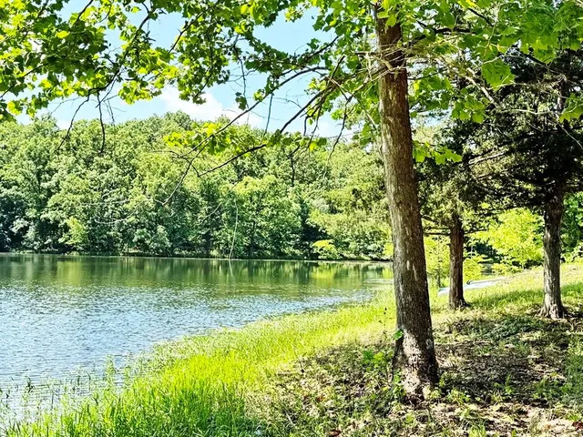 $325,000 | 0 Southeast 1200 Road, Collins, MO 64738