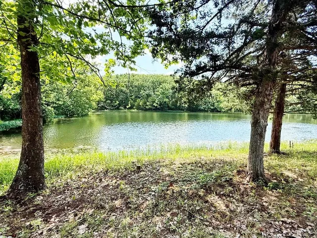 $325,000 | 0 Southeast 1200 Road, Collins, MO 64738