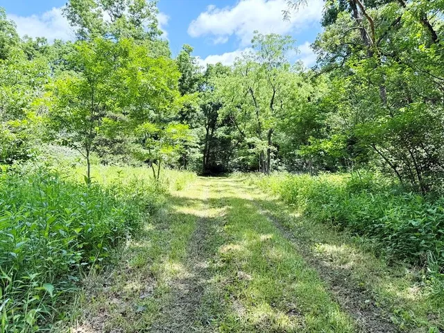 $325,000 | 0 Southeast 1200 Road, Collins, MO 64738