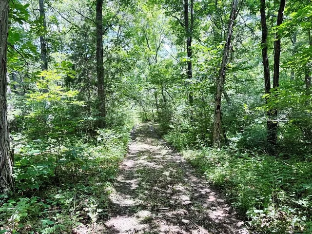 $325,000 | 0 Southeast 1200 Road, Collins, MO 64738