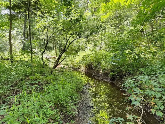 $325,000 | 0 Southeast 1200 Road, Collins, MO 64738