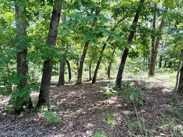 $325,000 | 0 Southeast 1200 Road, Collins, MO 64738