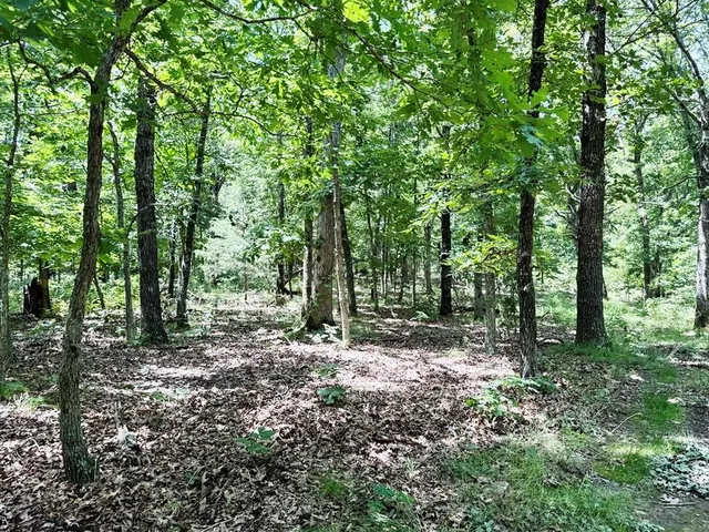 $325,000 | 0 Southeast 1200 Road, Collins, MO 64738