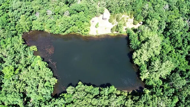 $325,000 | 0 Southeast 1200 Road, Collins, MO 64738