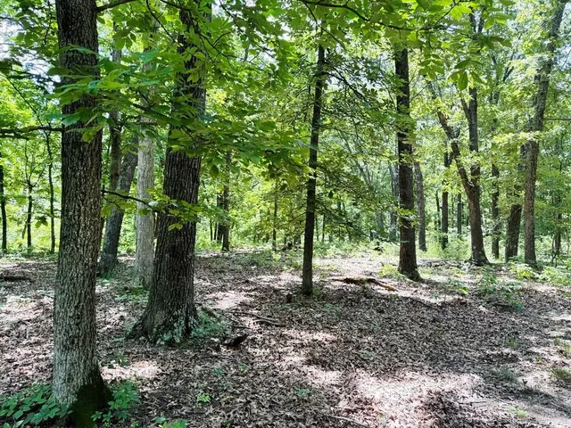 $325,000 | 0 Southeast 1200 Road, Collins, MO 64738