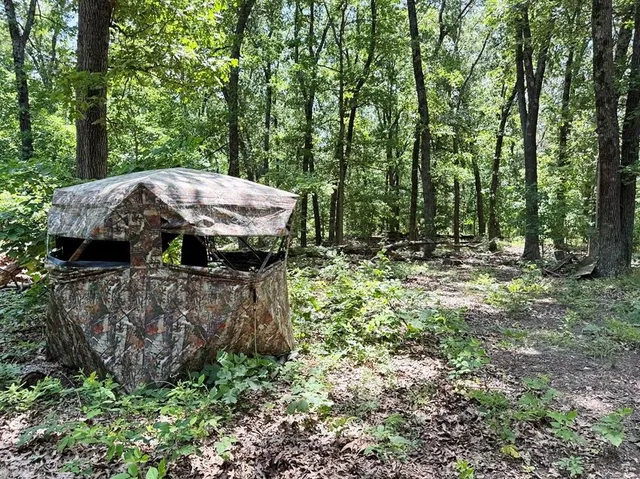 $325,000 | 0 Southeast 1200 Road, Collins, MO 64738