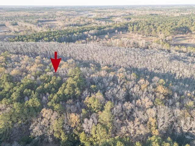 $60,000 | 0 Allen Lane, Walterboro, SC 29488