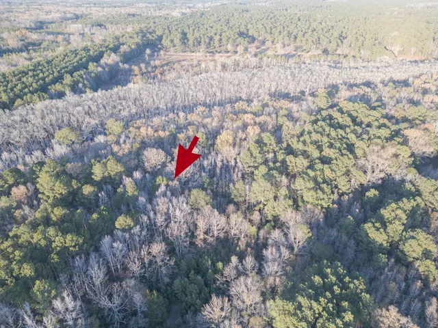 $60,000 | 0 Allen Lane, Walterboro, SC 29488