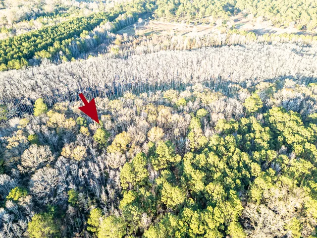 $60,000 | 0 Allen Lane, Walterboro, SC 29488