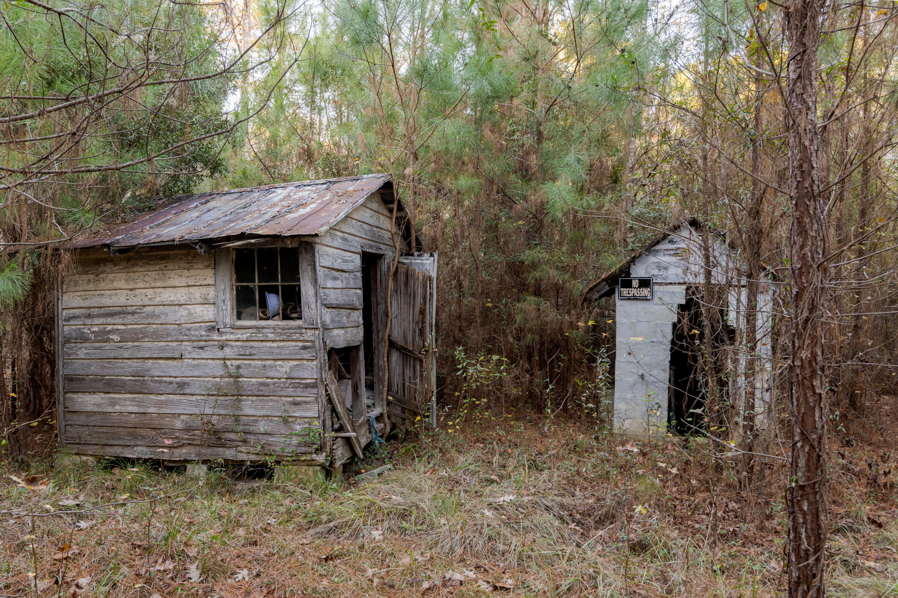 0 Allen Lane Walterboro, SC 29488 - Photo 16 of 17 WalterboroLand-