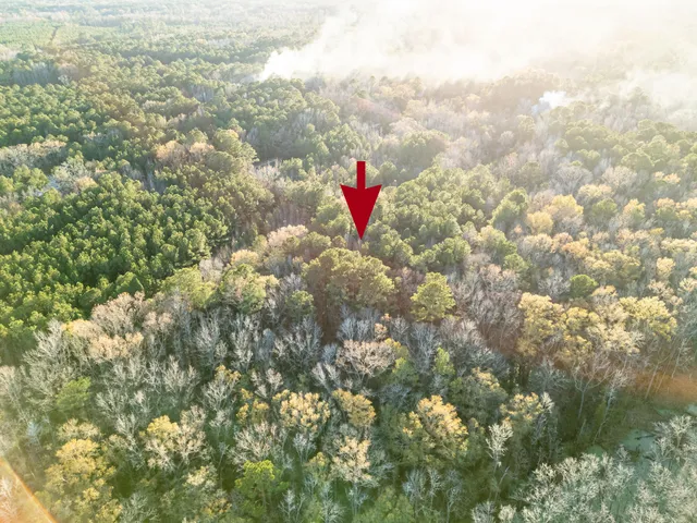 $60,000 | 0 Allen Lane, Walterboro, SC 29488