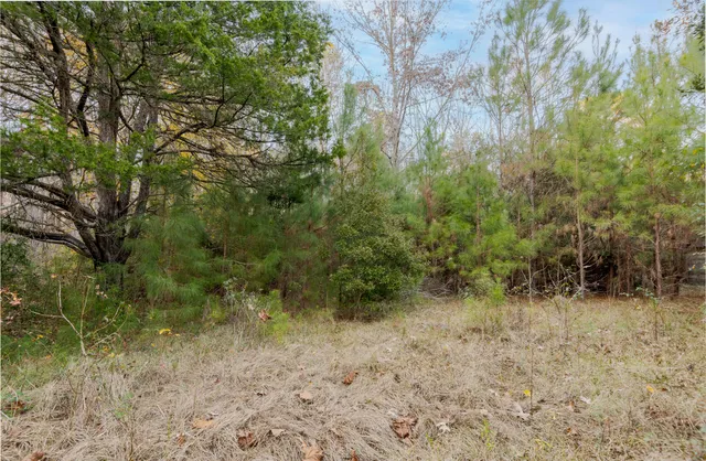 $60,000 | 0 Allen Lane, Walterboro, SC 29488