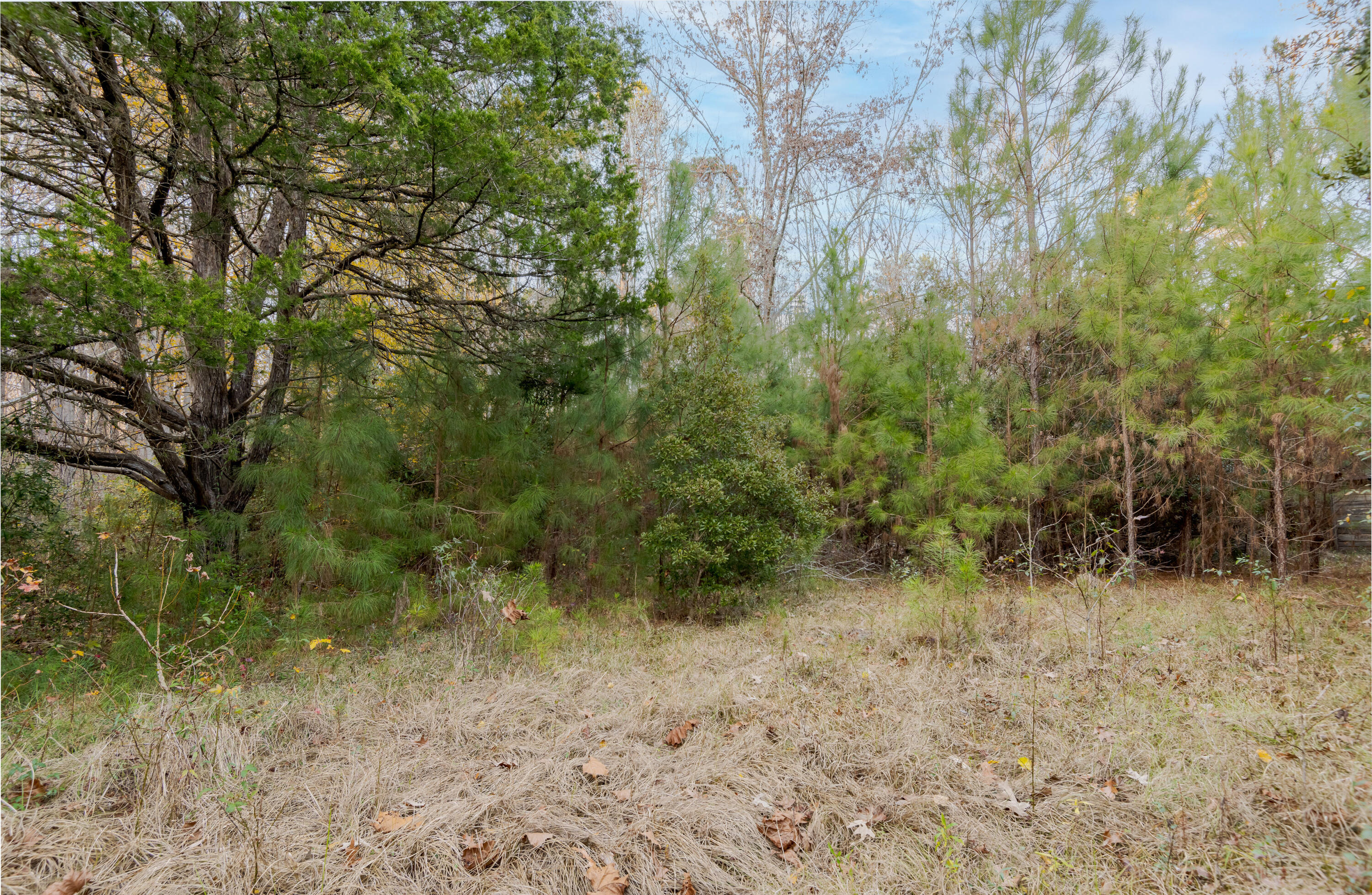 0 Allen Lane Walterboro, SC 29488 - Photo 2 of 17 WalterboroLand--2