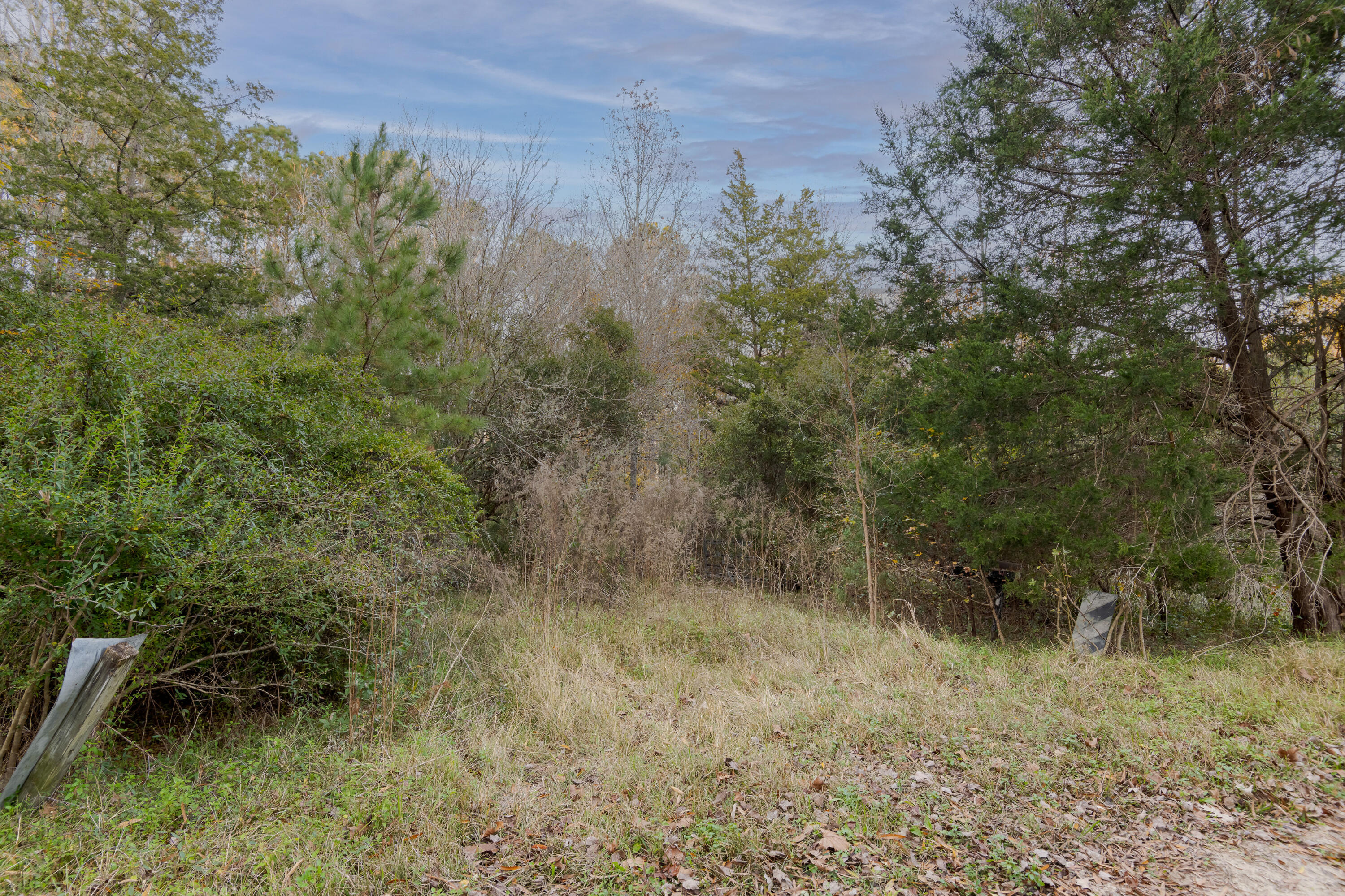 0 Allen Lane Walterboro, SC 29488 - Photo 5 of 17 WalterboroLand--4