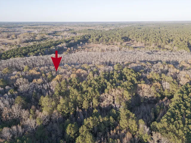 $60,000 | 0 Allen Lane, Walterboro, SC 29488