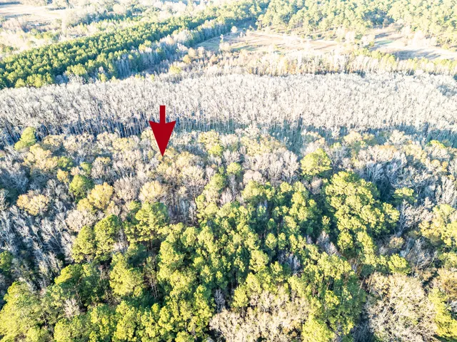 $60,000 | 0 Allen Lane, Walterboro, SC 29488