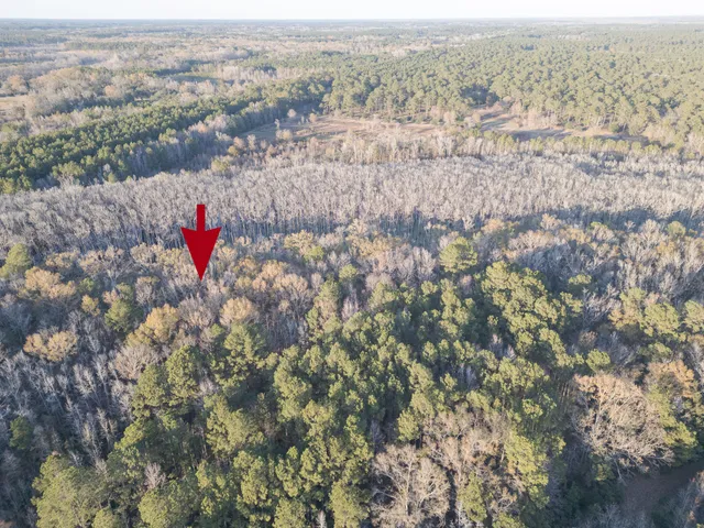 $60,000 | 0 Allen Lane, Walterboro, SC 29488