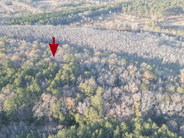 $60,000 | 0 Allen Lane, Walterboro, SC 29488