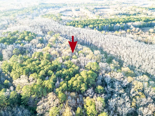 $60,000 | 0 Allen Lane, Walterboro, SC 29488