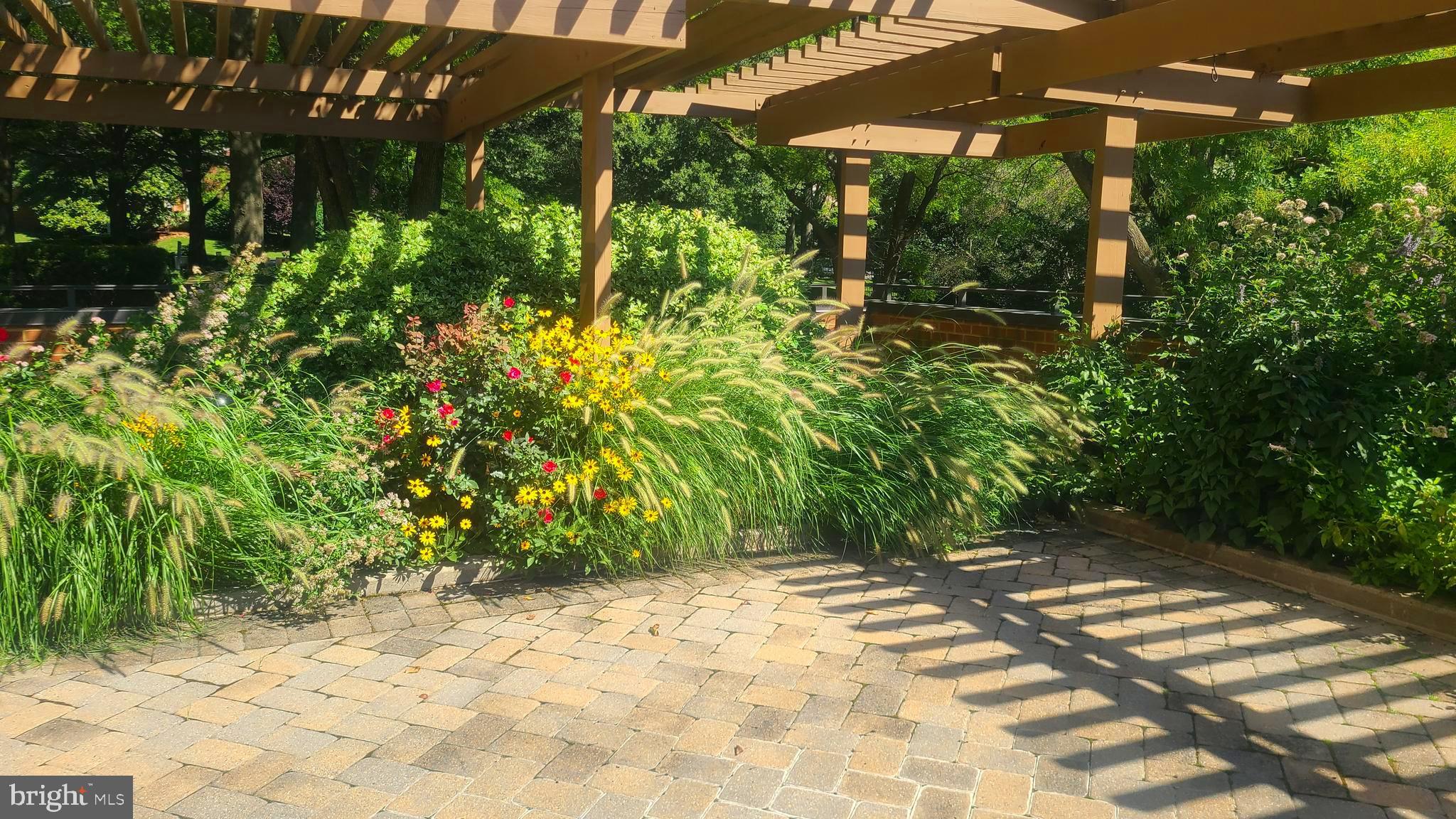 111 Hamlet Hill Road, Unit 212 Baltimore, MD 21210 - Photo 43 of 51 Gallery Image 43