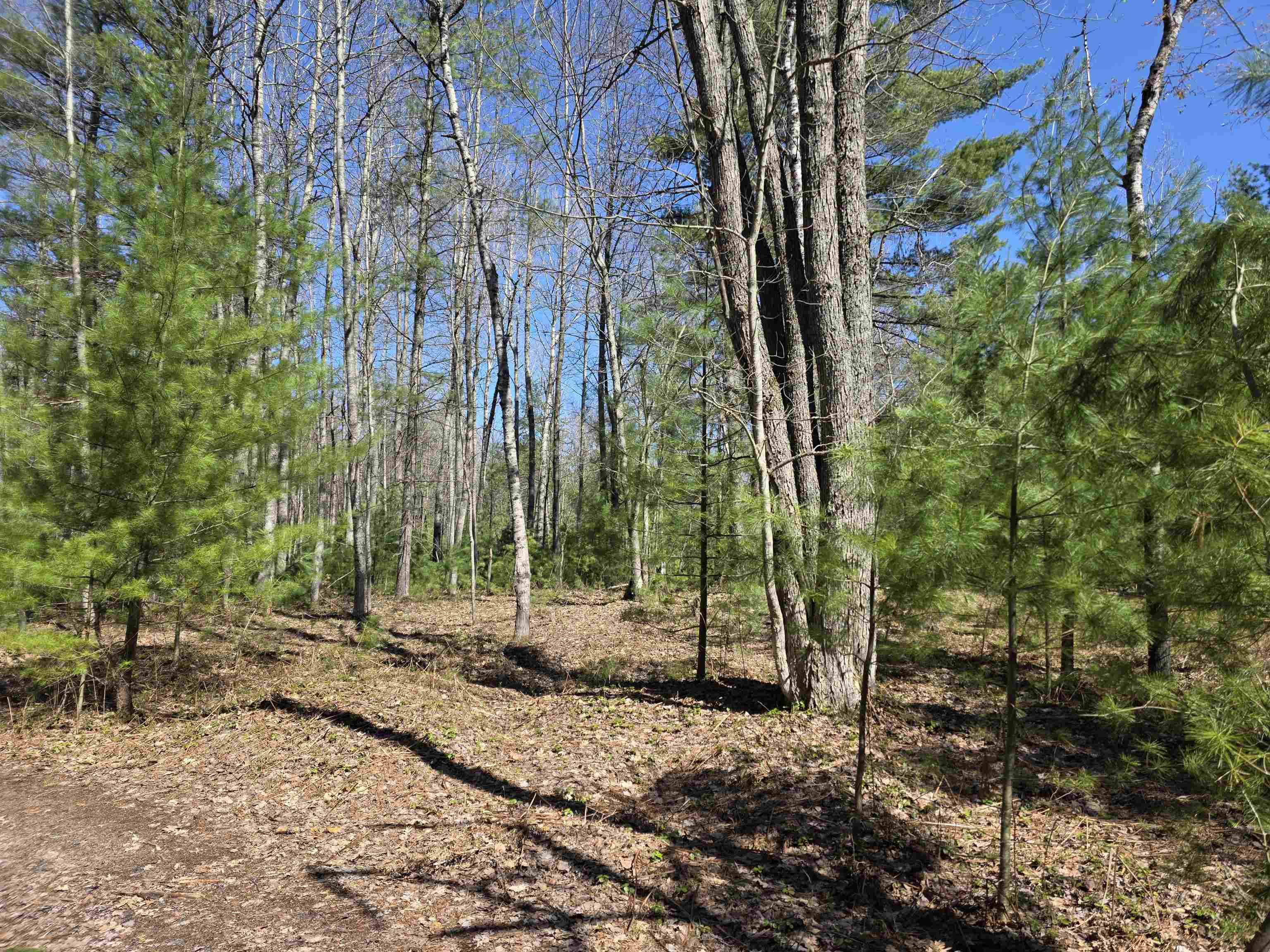7299 North Truesdale Road Manton, MI 49663 - Photo 28 of 51