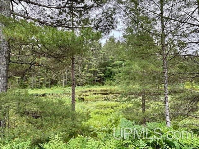 9200 Lost Lake Road Wetmore, MI 49895 - Photo 45 of 51 Gallery Image 45