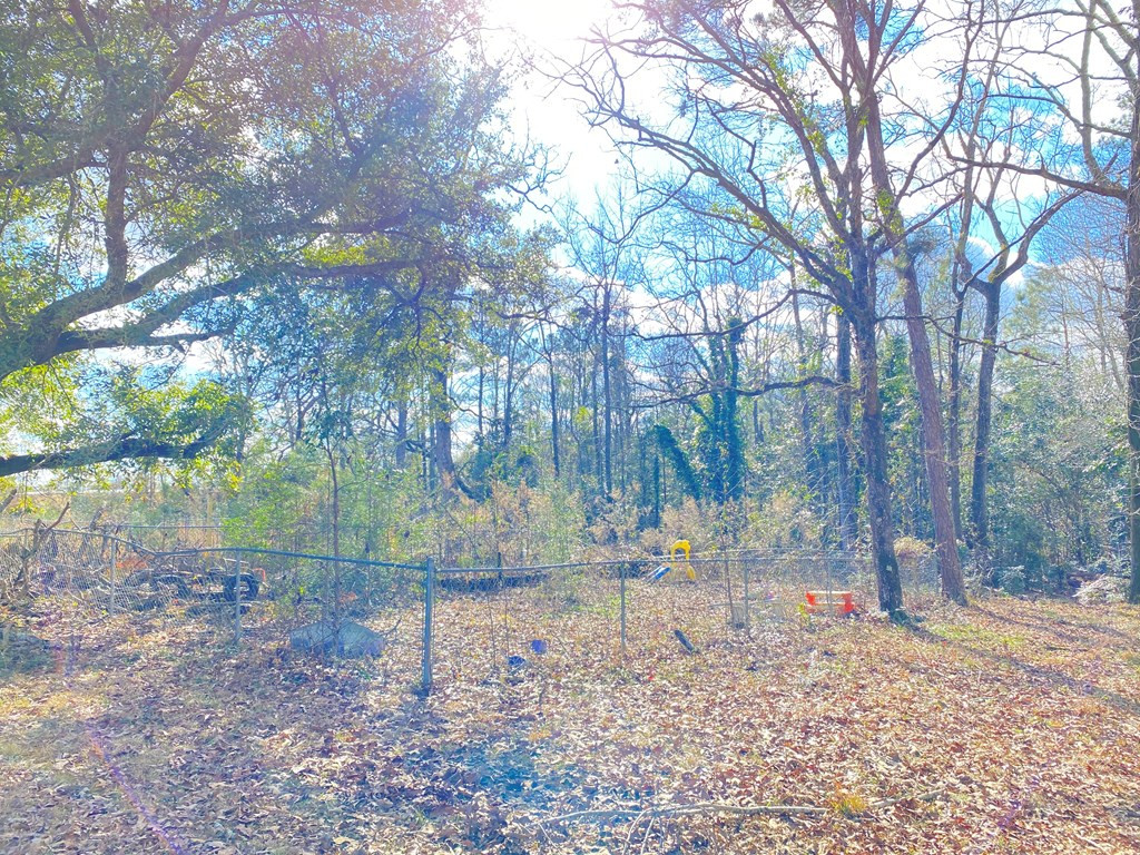 1166 State Rd S-38-751 Orangeburg, SC 29115 - Photo 8 of 9 Photo 8