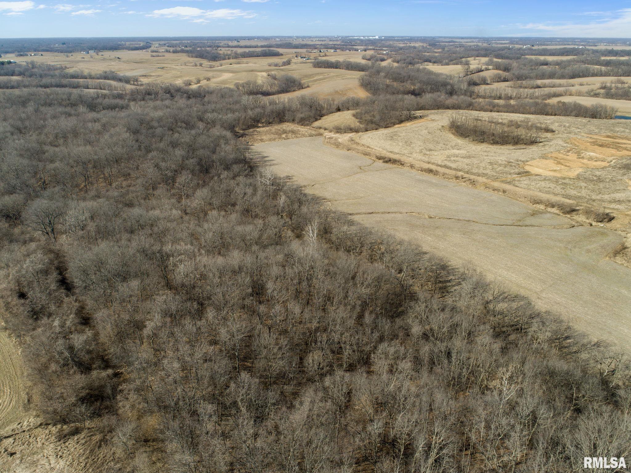 0 County Road 1250 Road Mount Sterling, IL 62353 - Photo 11 of 32