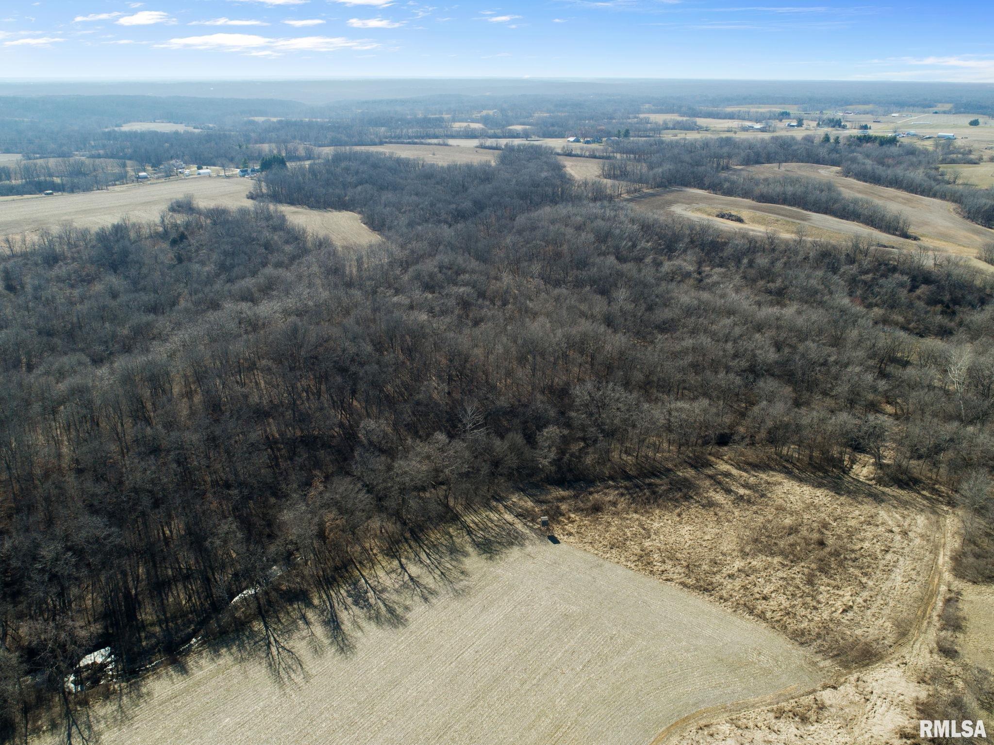 0 County Road 1250 Road Mount Sterling, IL 62353 - Photo 23 of 32