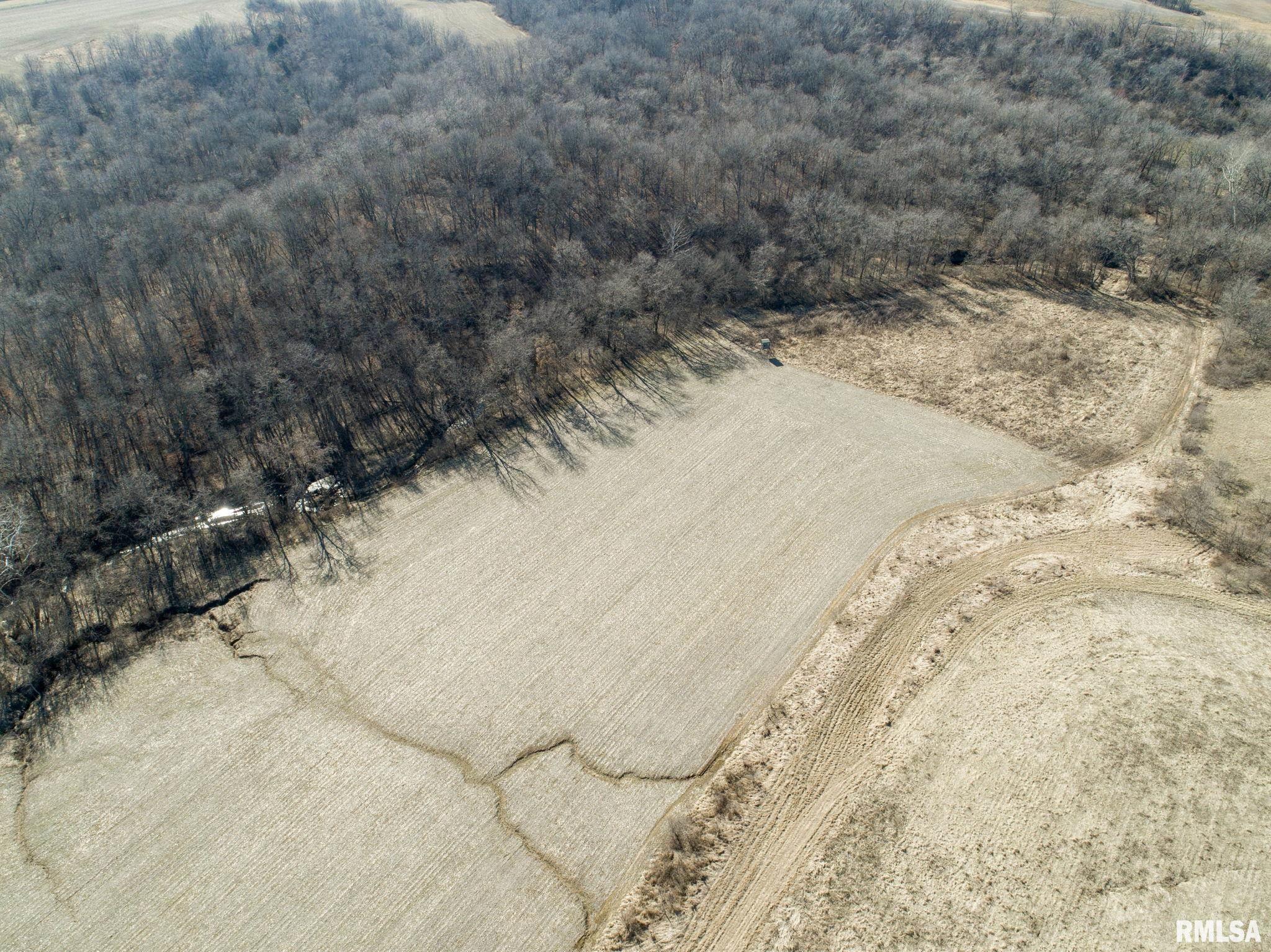 0 County Road 1250 Road Mount Sterling, IL 62353 - Photo 24 of 32