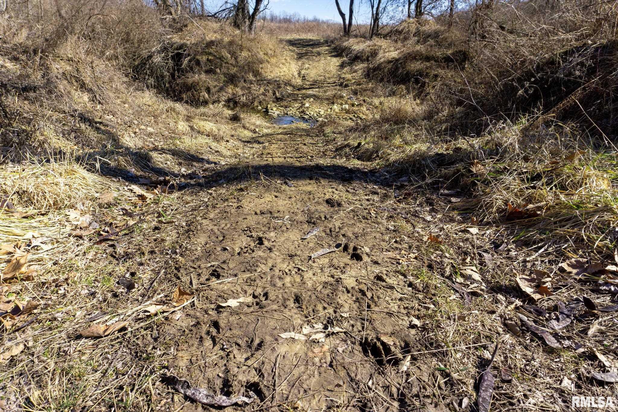 0 County Road 1250 Road Mount Sterling, IL 62353 - Photo 26 of 32