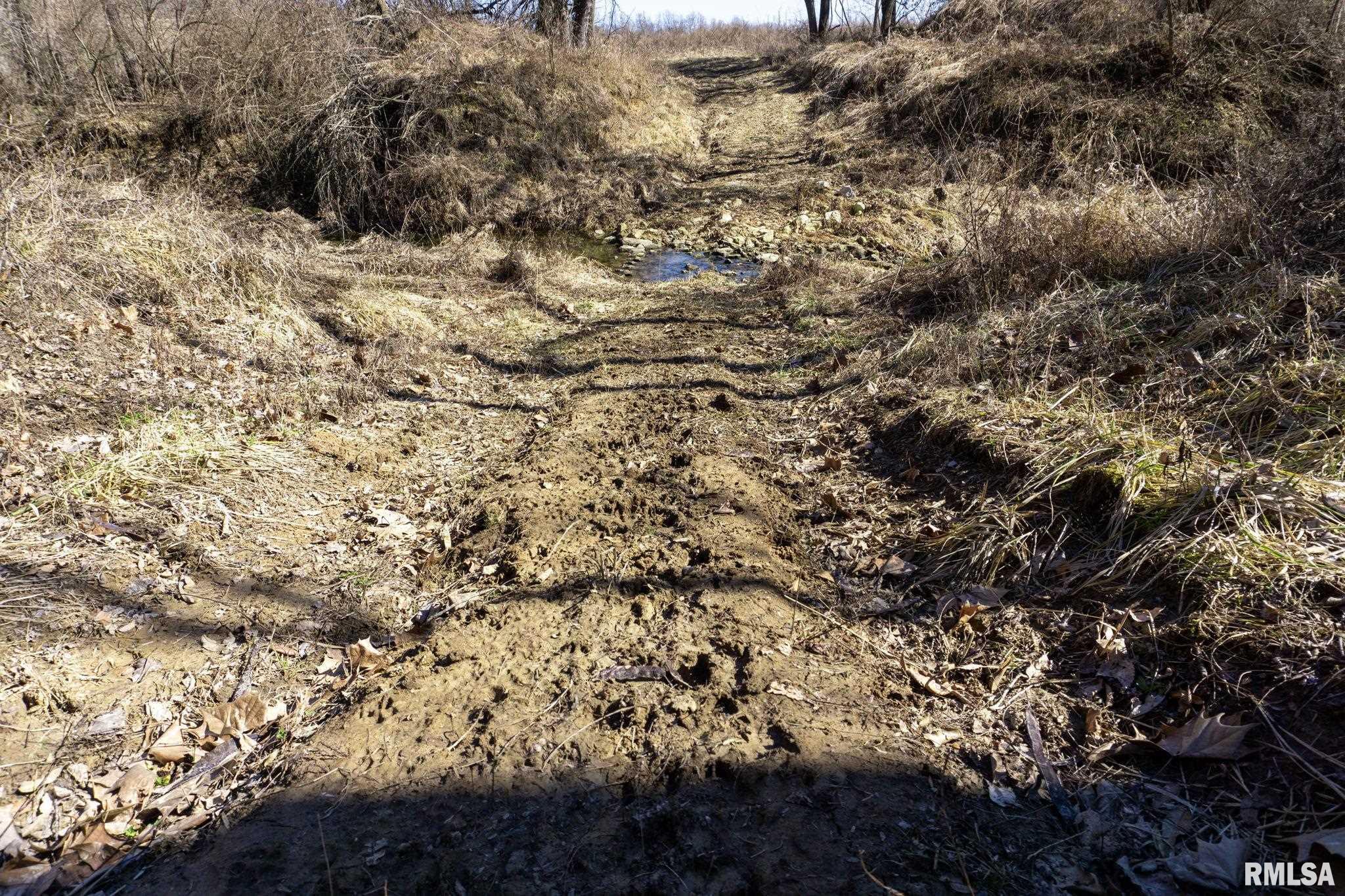 0 County Road 1250 Road Mount Sterling, IL 62353 - Photo 27 of 32