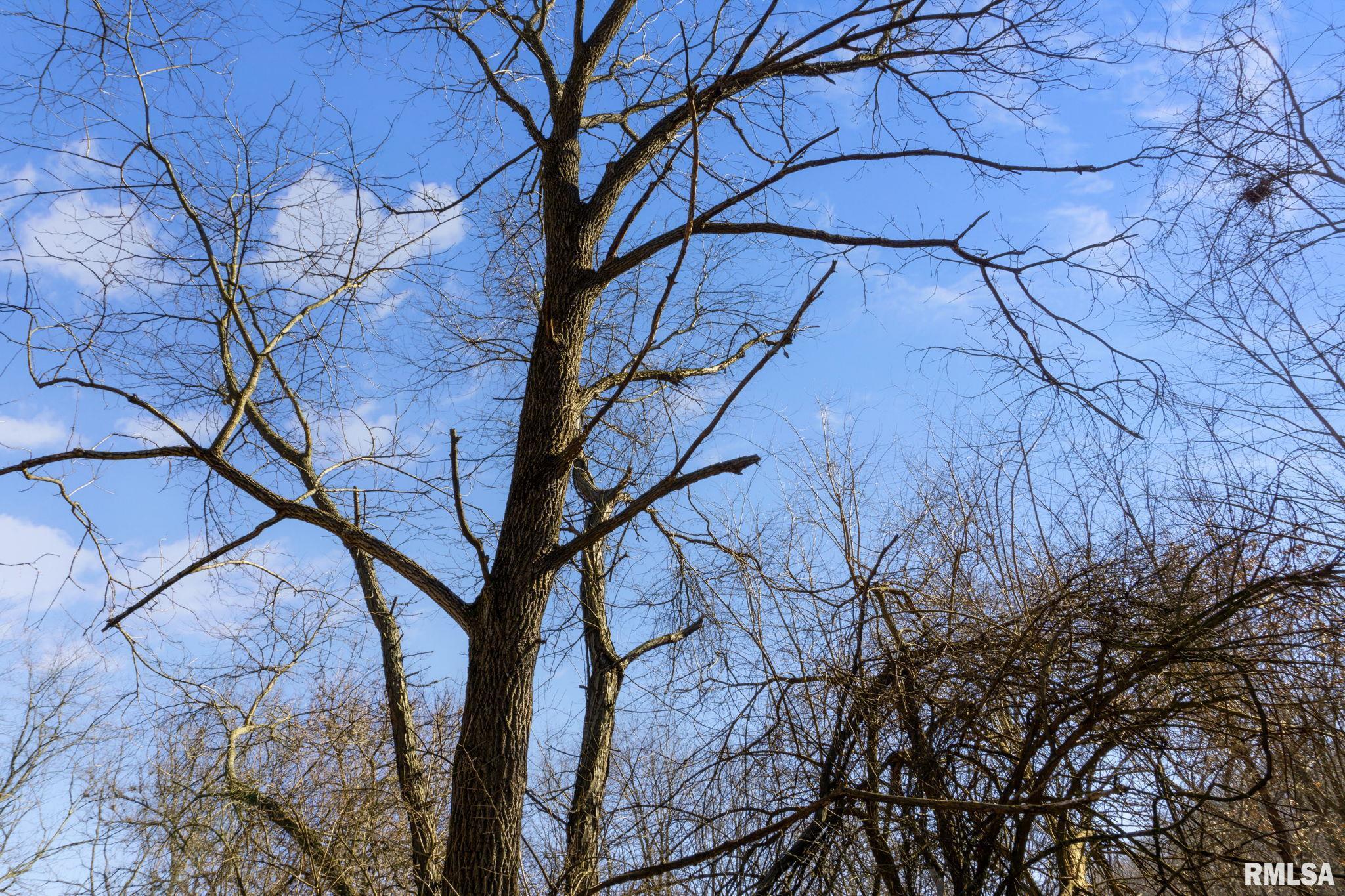 0 County Road 1250 Road Mount Sterling, IL 62353 - Photo 28 of 32