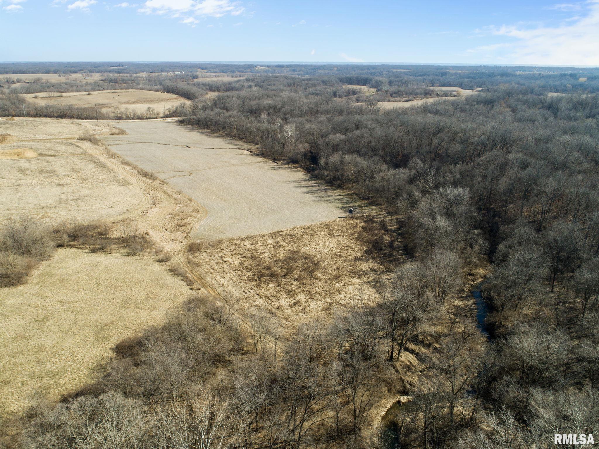 0 County Road 1250 Road Mount Sterling, IL 62353 - Photo 4 of 32
