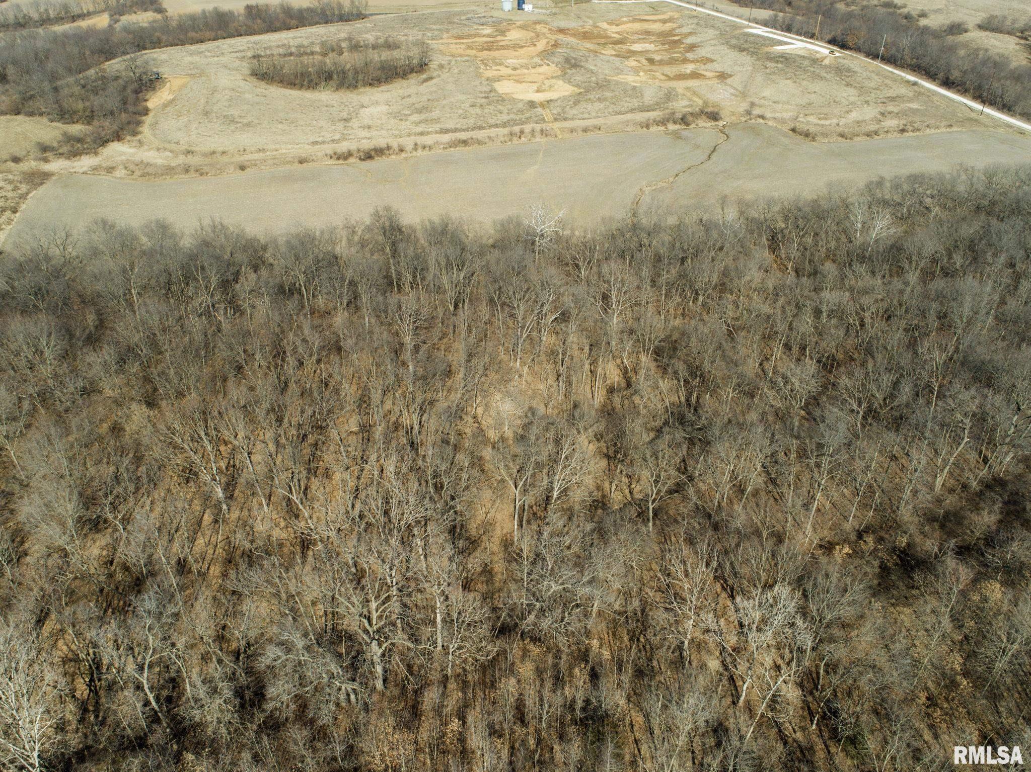 0 County Road 1250 Road Mount Sterling, IL 62353 - Photo 7 of 32