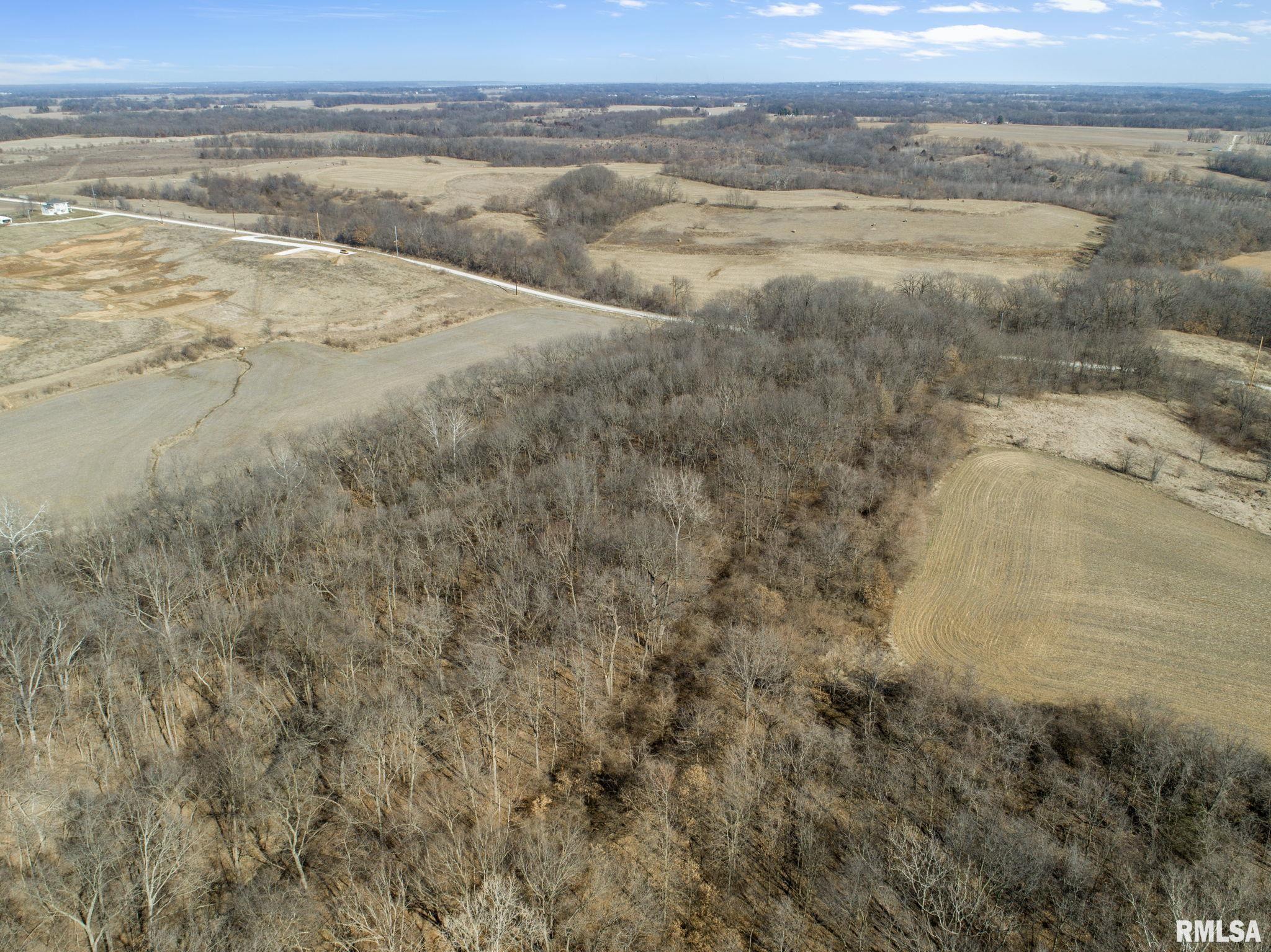 0 County Road 1250 Road Mount Sterling, IL 62353 - Photo 8 of 32