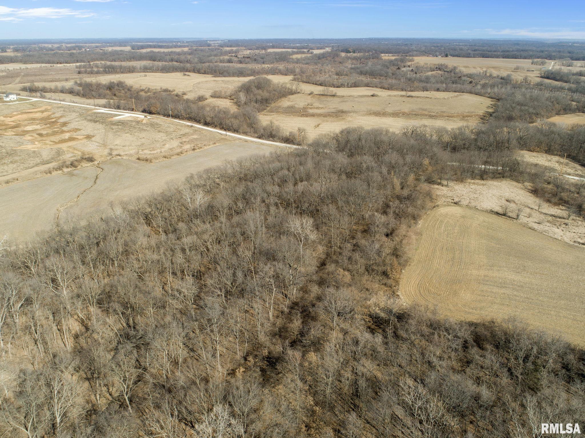 0 County Road 1250 Road Mount Sterling, IL 62353 - Photo 9 of 32